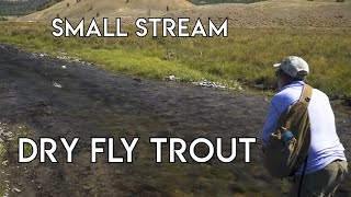 Small Stream Dry Fly Nirvana  Dubois Wyoming [upl. by Dlanod]