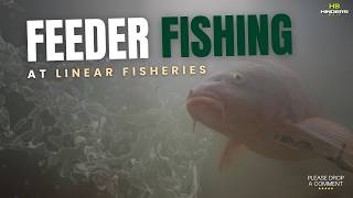 FEEDER FISHING FOR CARP AT LINEAR FISHERIES [upl. by Ybloc]