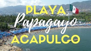 ACAPULCO 2019  PLAYA PAPAGAYO  ACAPULQUIRRI VLOGS [upl. by Burford]