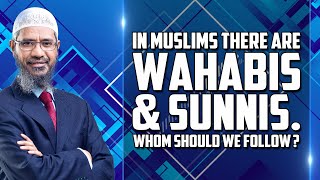 In Muslims there are Wahabis and Sunnis Whom Should we Follow  Dr Zakir Naik [upl. by Kronick]