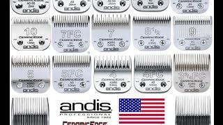 Andis Clipper Blade Sharpening [upl. by Janaye]