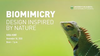 Biomimicry Design Inspired by Nature [upl. by Ardith659]