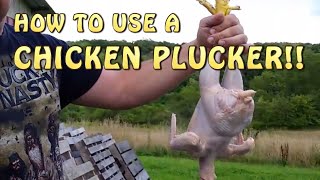 How To Pluck A Chicken In 20 Seconds Chicken Plucker [upl. by Inoue5]