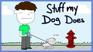 Stuff My Dog Does [upl. by Madden]