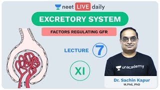 Excretory System  Lecture 7  Unacademy NEET  LIVE DAILY  NEET Biology  Dr Sachin Kapur [upl. by Ilka]