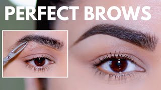 HOW TO GROOM SHAPE amp MAINTAIN EYEBROWS AT HOME BEGINNER FRIENDLY [upl. by Rol]