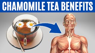 CHAMOMILE TEA BENEFITS  13 Impressive Health Benefits of Chamomile Tea❗️ [upl. by Valry]