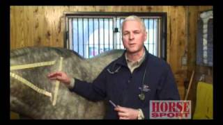 Equine Intramuscular Injections [upl. by Alfie]