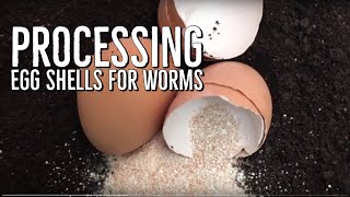 How I Process Egg Shells For My Worm Bins [upl. by Nitsruk]