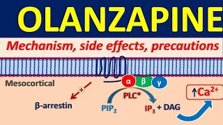 Olanzapine 5 mg and 10 mg  Uses dose and side effects [upl. by Brina840]