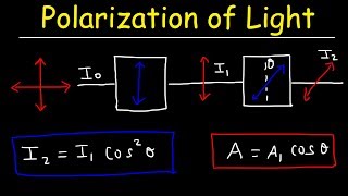 Polarization of light Problems Malus Law  Intensity amp Amplitude  Physics [upl. by Ahsehyt]