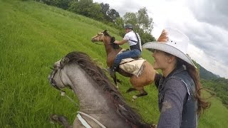 Epic horse galloping with GoPro by KristyM Ranch [upl. by Perrine]