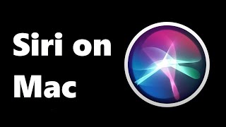 MacBook How to Turn On and Talk to Siri [upl. by Kentigerma]