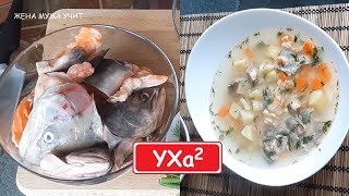 Уха подомашнему из форели и горбуши  Быстро и вкусно  ЖЕНА МУЖА УЧИТ [upl. by Neenaej]