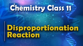 Disproportionation Reaction  Redox Reaction  Chemistry Class 11 [upl. by Vada]