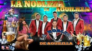 La Nobleza de Aguililla Mix 2020  Dj Freddy rmx Gt  Tierra Caliente👍🍺 [upl. by Zimmer]