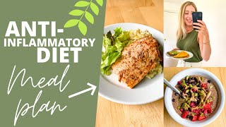 ANTIINFLAMMATORY DIET SUMMER MEAL PLAN amp PDF Guide [upl. by Dagley537]