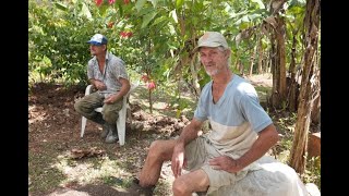 German Town Jamaica Documentary [upl. by Tnirb]