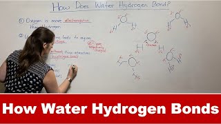 How Water Forms Hydrogen Bonds [upl. by Sudderth712]