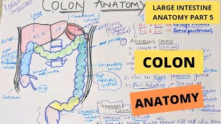 Is Colon Resection A Major Surgery [upl. by Siegler]