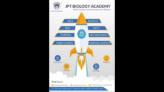 Human excretory system [upl. by Shulem]