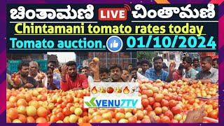 Chintamani today 01102024  today tomato rates in Chintamani Venu7tv today Chintamani 🍅🍅 [upl. by Eivla]