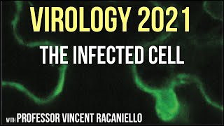 Virology Lectures 2021 11  The Infected Cell [upl. by Cowey]