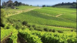 Chianti best routes in Tuscany [upl. by Ynahpit608]