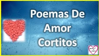 Poemas De Amor Cortitos Para Enamorar A Mi Novia [upl. by Nas]