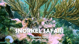 Labadee Snorkel Safari [upl. by Elspeth]