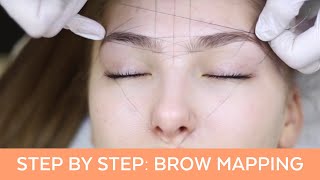 Brow Mapping Step By Step Training [upl. by Traweek]