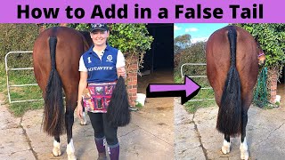 How to Put False Tail into Show Horse  Show Horse Preparation Tips [upl. by Cameron]