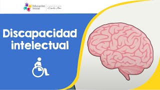 Discapacidad intelectual [upl. by Akinad]