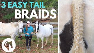 HOW TO BRAID A HORSE’S TAIL 3 Easy Braids [upl. by Oos370]