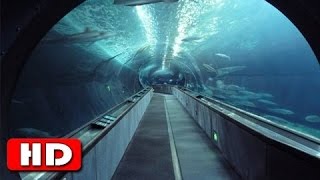 The Chunnel  Worlds Longest Underwater Tunnel  History Channel HD [upl. by Clayborn]