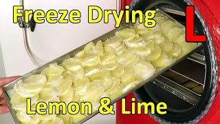 Freeze Drying Lemon amp Lime Slices [upl. by Lionello]