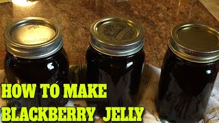 BLACKBERRY JELLY  STEP BY STEP  EASY…DELICIOUS RECIPE [upl. by Novy]