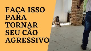 APRENDA A TREINAR SEU CÃO PARA ATACAR [upl. by Nwaf]