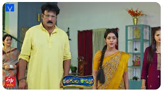 Rangula Ratnam Latest Promo  19th September 2024 in ETV Telugu at 730 PM  Mallemalatv [upl. by Ravert967]