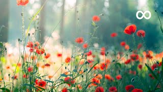 Morning Relaxing Music  Piano Music for Stress Relief and Studying Riley [upl. by Htrow946]