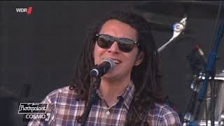 Tribal Seeds  Live at Summerjam Festival 2019 Full Concert HD [upl. by Esined274]