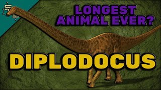 Diplodocus Facts For Children  The DoubleBeamed Lizard [upl. by Enael]