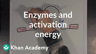 Enzymes and activation energy  Biomolecules  MCAT  Khan Academy [upl. by Aivila]