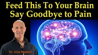 Feed This To Your Brain and Say Goodbye to Chronic Pain  Dr Alan Mandell DC [upl. by Einot]