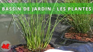 Bassin de jardin  Plantes aquatiques [upl. by Lucienne]