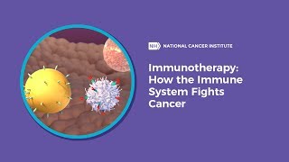 Immunotherapy How the Immune System Fights Cancer [upl. by Eniledam65]