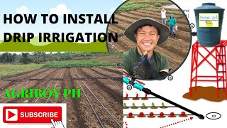 SETTING UP DRIP IRRIGATION [upl. by Anilrats]