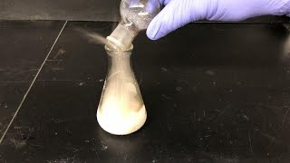 Grignard Reaction Experiment Part 3 Reaction with CO2 Workup and Characterization [upl. by Fisuoy]