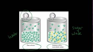 Vapor Pressure lowering  Explaining Raoults Law [upl. by Eznyl]