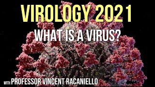 Virology Lectures 2021 1 What is a Virus [upl. by Arahd]